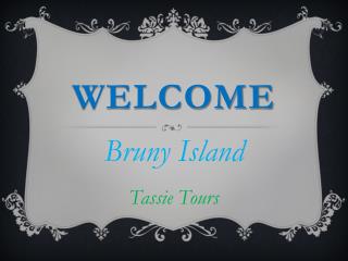 Best Experienced Bruny Island Tours in Alonnah