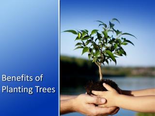 Benefits of Planting Trees