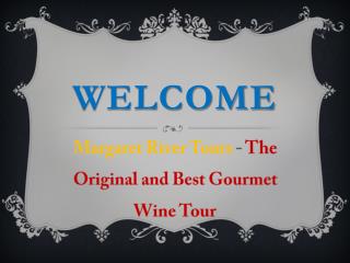 Top Experience Wine tours in Margaret River