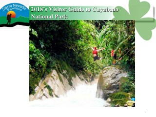 2018â€™s Visitor Guide to Cuyabeno National Park