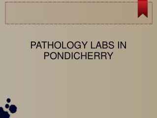 Uric Acid Test in Pondicherry