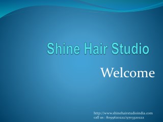 Shinehairstudio pdf