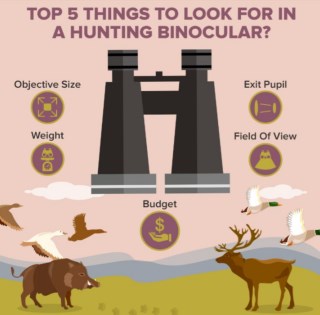 5 Things to look for when buying hunting binoculars