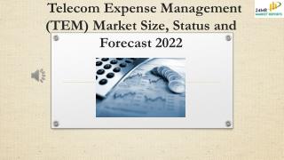 Telecom Expense Management (TEM) Market Size, Status and Forecast 2022