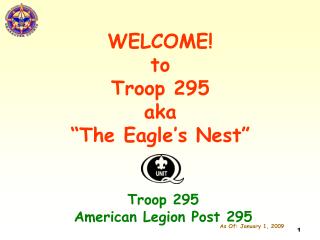 WELCOME! to Troop 295 aka “The Eagle’s Nest”
