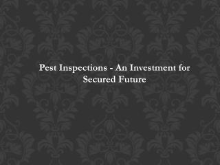 Pest Inspections - An Investment for Secured Future