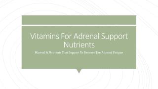 Vitamins For Adrenal Support | Premier Research Labs Supplements