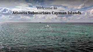 Book Your Cayman Underwater Tour Online & Save More on Your Excursion