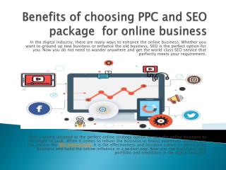 Benefits of choosing PPC and SEO package for online business
