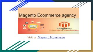 Magento Development Agency