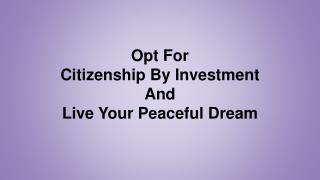 Opt For Citizenship By Investment And Live Your Peaceful Dream