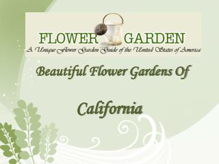 Beautiful Flower Gardens of California