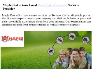 Pest Control Toronto