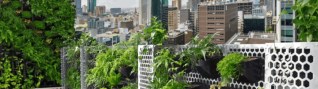 Vertical Gardens Melbourne Wall Gardens Melbourne AVGG VIC