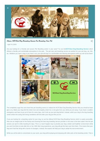 Choose NCR Best Dog Boarding Service For Boarding Your Pet