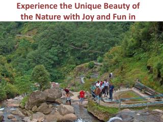 Experience the Unique Beauty of the Nature with Joy and Fun