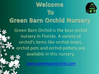 Get Free Orchid Nursery Classes in Florida