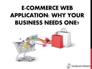 E-commerce Web Application: Why Your Business Needs One?