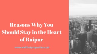 Reasons Why You Should Stay in the Heart of Raipur