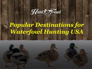 Popular Destinations For Waterfowl Hunting USA