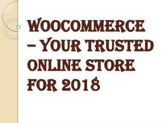 WPEXPERTS- Best Woocommerce Development Service Provider