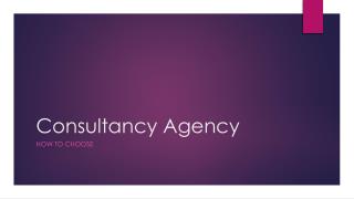 Consultancy Agency