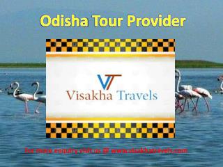 Best Tour Operator in Odisha