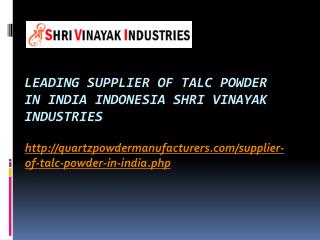 Leading Supplier of Talc Powder in India Indonesia Shri Vinayak Industries