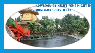 KOWLOON BY NIGHT â€œONE NIGHT IN MONGKOKâ€ CITY TOUR