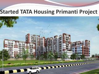 Buy Tata Primanti in Sector 72 Gurgaon