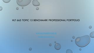 HLT 665 Topic 15 Benchmark Professional Portfolio