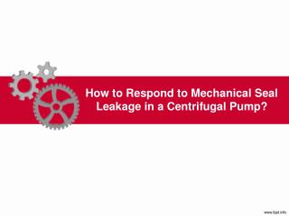 How to Respond to Mechanical Seal Leakage in a Centrifugal Pump? - LEAK-PACK