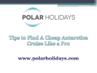 Tips to Find A Cheap Antarctica Cruise Like a Pro