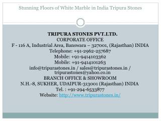 Stunning Floors of White Marble in India Tripura Stones