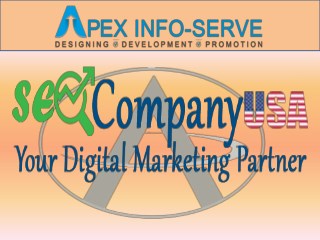 Affordable SEO Company USA | Apex Info-Serve