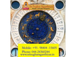 Astrologers In Chennai