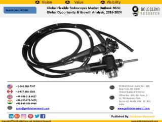 Global Flexible Endoscopes Market Outlook 2024: Global Opportunity & Growth Analysis, 2016-2024