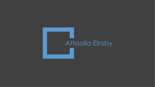 Attaalla Elroby - Fromer Project Engineer, NextEra Energy