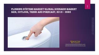 Flushing Systems Market Global Scenario Market Size, Outlook, Trend and Forecast, 2016 â€“ 2025