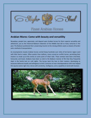 Arabian Mares: Come with beauty and versatility