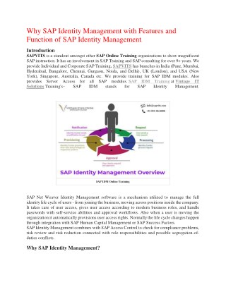 SAP IDM PDF