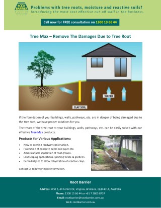 Tree Max â€“ Remove The Damages Due to Tree Root