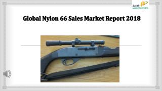 Global Nylon 66 Sales Market Report 2018