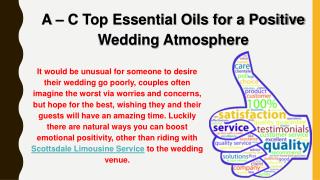Scottsdale Limousine Service