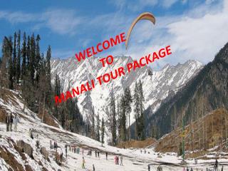 kings holiday tours- Manali Tour Package