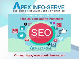 SEO Company USA | Apex Info-Serve