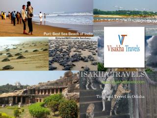 Best Tour & Travel in Odisha With In A Reasonable Price