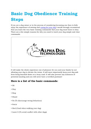 Basic Dog Obedience Training Steps