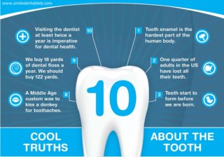 Cool Truths about your Tooth - Dental Clinic in Dubai - Smile Dental