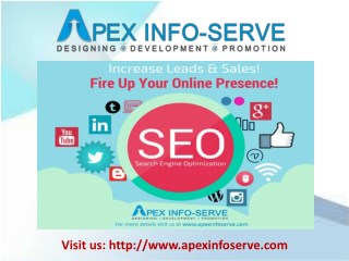 SEO Company USA | Apex Info-Serve